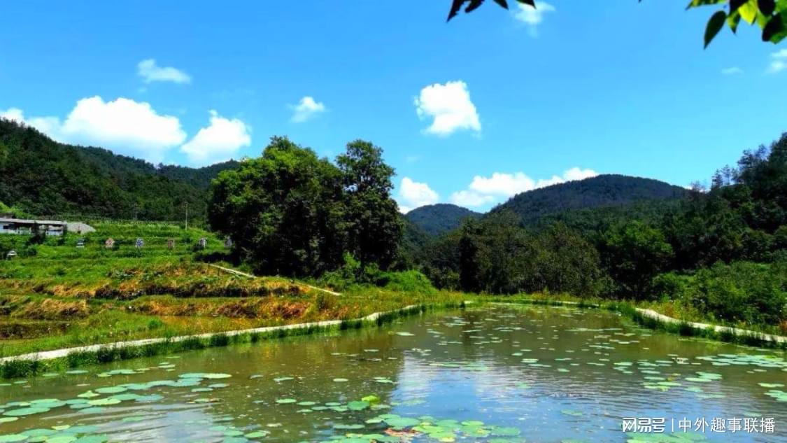 抖音1000个活粉买的有用吗：抖音粉丝增长秘籍打造真实活跃社群_快手业务自助下单平台最便宜